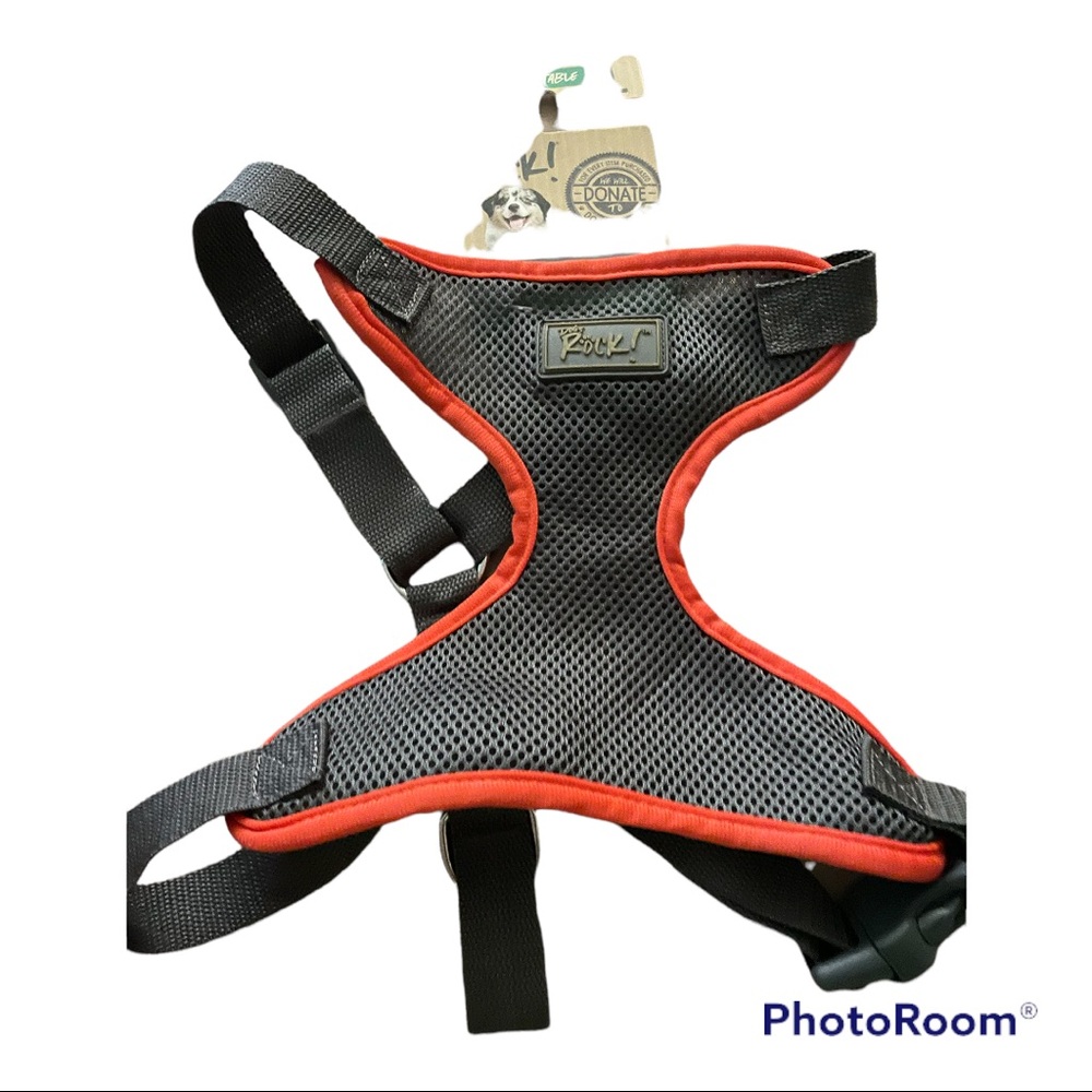 Brand New Harness